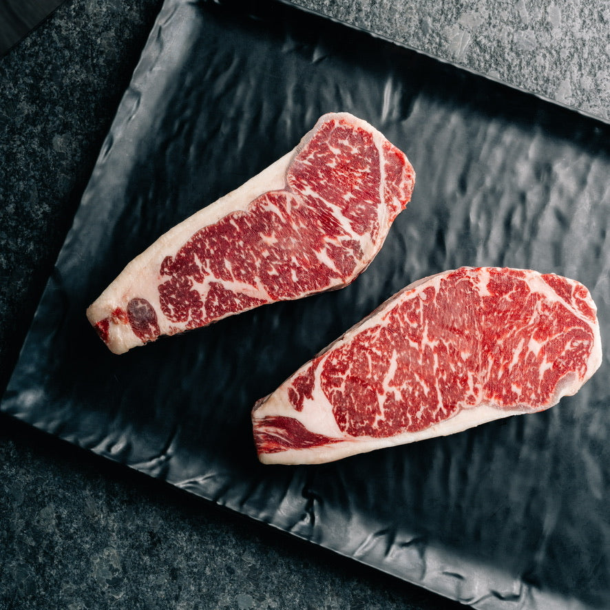 Chef Austin's Favorite Cuts ALL IN ONE