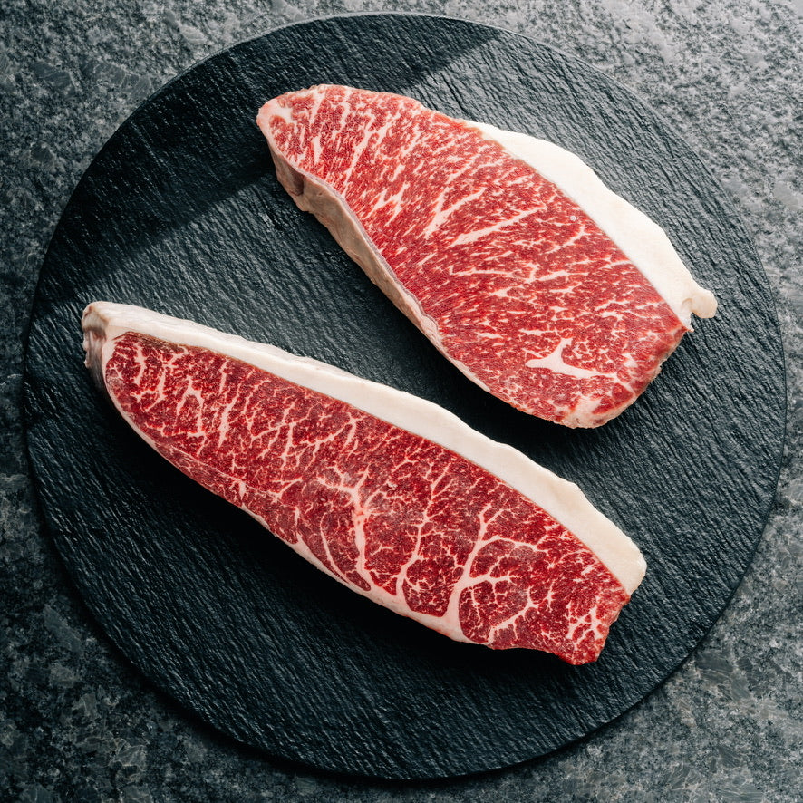 Chef Austin's Favorite Cuts ALL IN ONE